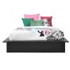 Queen Modern Black Faux Leather Platform Bed Frame with Wood Slats