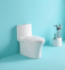 15 1/8 Inch 1.1/1.6 GPF Dual Flush 1-Piece Elongated Toilet with Soft-Close Seat - Gloss White 23T02-GW