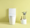 1.1/1.6 GPF Dual Flush 1-Piece Elongated Toilet with Soft-Close Seat - Gloss White, Water-Saving, Modern, Stylish Design 23T01-GW