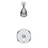 Large Amount of water Multi Function Shower Head - Shower System, Simple Style, Filter Shower, Chrome