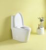 1.1/1.6 GPF Dual Flush 1-Piece Elongated Toilet with Soft-Close Seat - Gloss White, Water-Saving, Modern, Stylish Design 23T01-GW