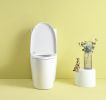 1.1/1.6 GPF Dual Flush 1-Piece Elongated Toilet with Soft-Close Seat - Gloss White, Water-Saving, Modern, Stylish Design 23T01-GW